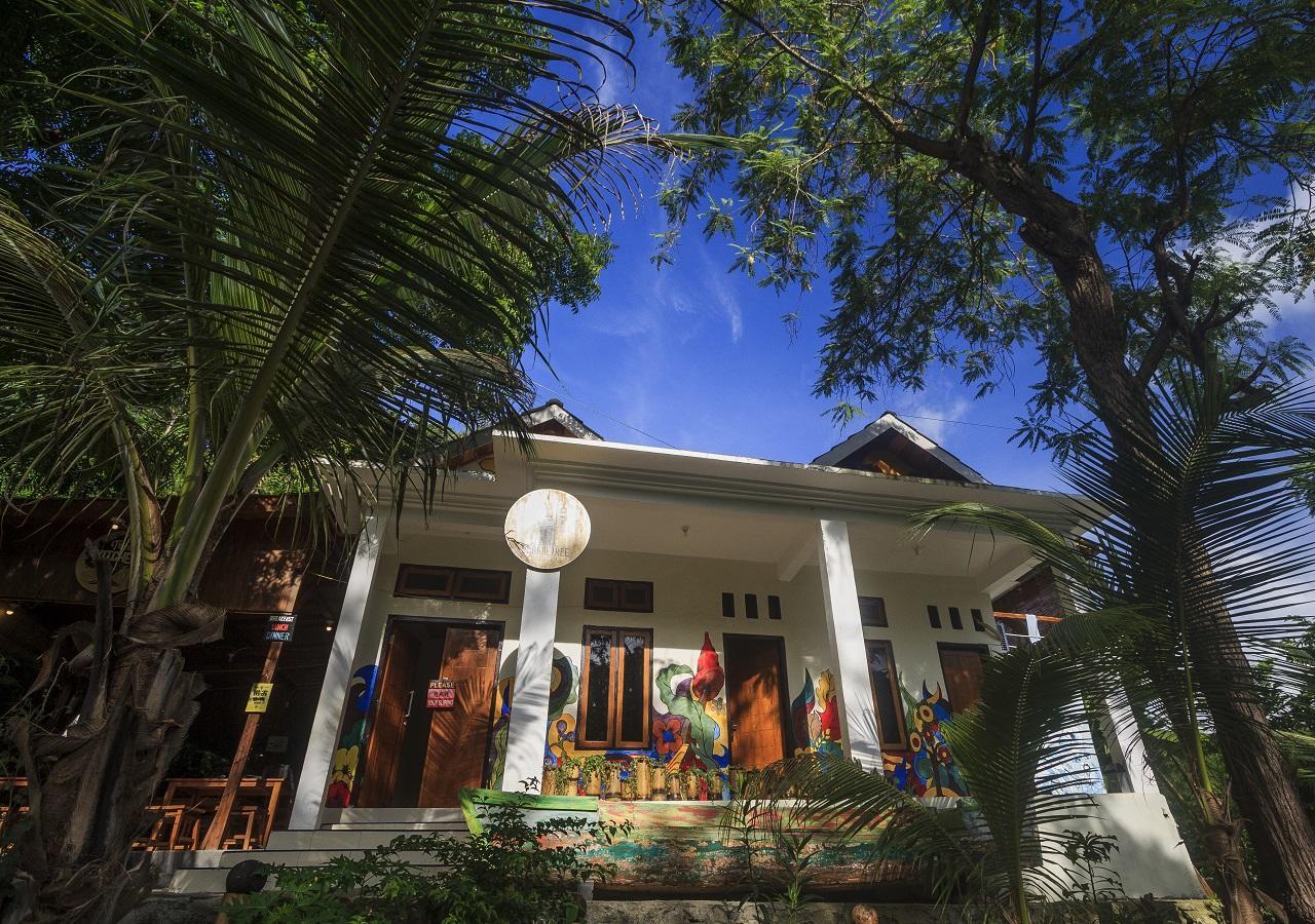 Dorme Tree Hostel Labuan Bajo Buitenkant foto